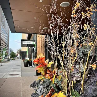 a tall planter with leaves and branches