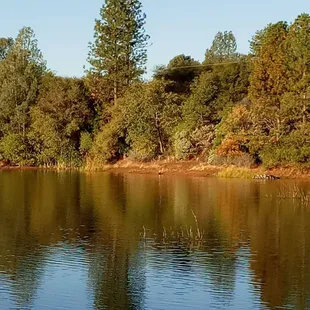 Finnon Lake late October morning