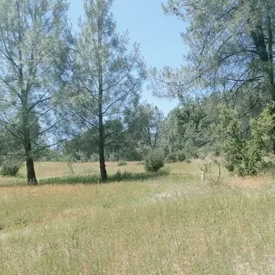 Perfect isolation from City Life!!