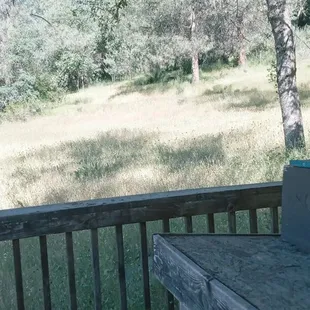 Quiet and serene. Lots of high brush, so careful when hiking. Saw a hidden snake.