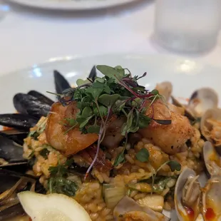 Seafood risotto special