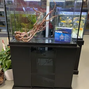 Full line of aquariums