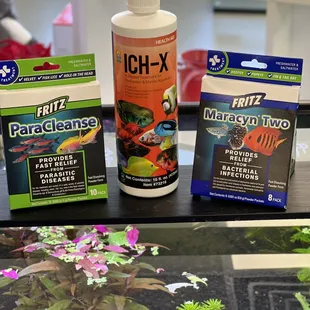 Medications to keep your fish healthy