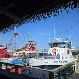 The boats right off our table!