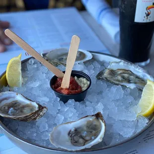 A variety of Oysters on the Half Shell