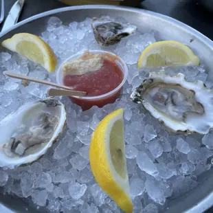 Raw Oysters