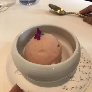 Sorbet