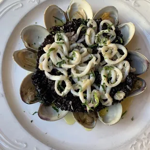 Risotto Venere con Calamari e Vongole
Black rice braised with fish stock, calamari and clams