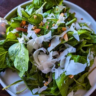 Arugula &amp; pea tendrils salad 3/2023