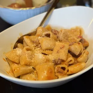 Rigatoni (fiorella sausage ragu)