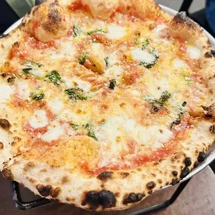 Margherita Pie extra cheese