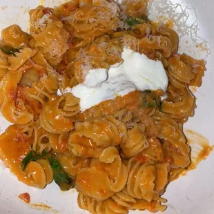 food, pasta, pasta dish