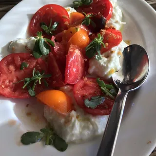 Heirloom Tomato & Burrata