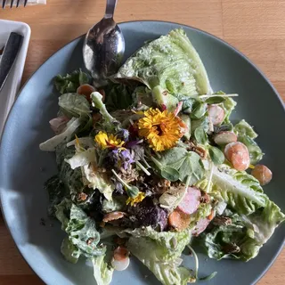 OG Baby Lettuce Salad
