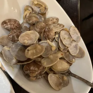 Lots of clams!