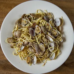 food, pasta, pasta dish