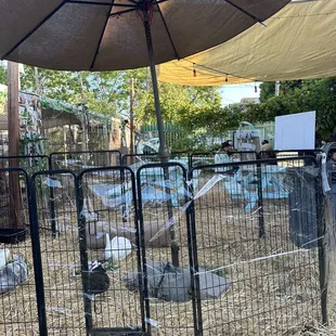 Farm near the seating area