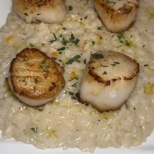 Scallop Risotto