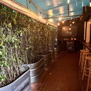 a row of planters in a restaurant