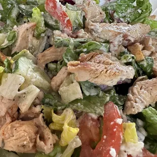 Greek salad with chicken shawirma