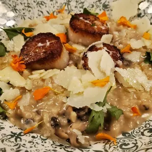 Scallop Risotto