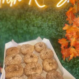 Vegan Apple Cider Donuts