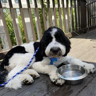 Ice water for our little guy!