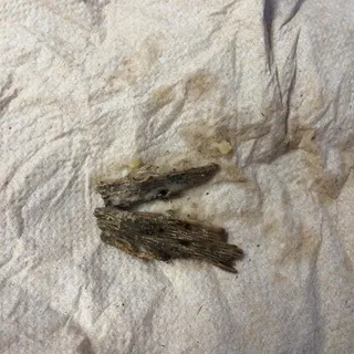 Chips