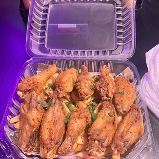 Tajing wings