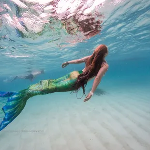 Mermaid in blue water