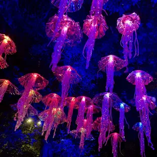 Jellyfish lanterns in the sky