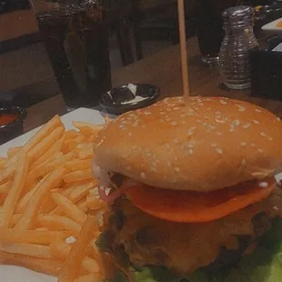 Burger with side of Fries