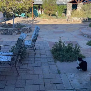 Shared enclosed patio