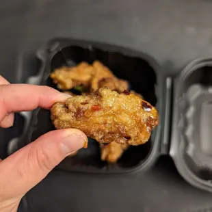 January 2024-- wings barely bigger than my THUMB and I have a pretty short thumb