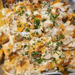 New loaded fries
