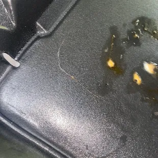 HAIR IS FOOD. NOT A STRAND A CHUNK/A KNOT