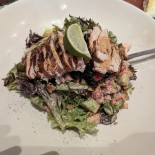 Chicken taco salad special