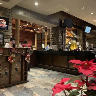 Bar and check in counter