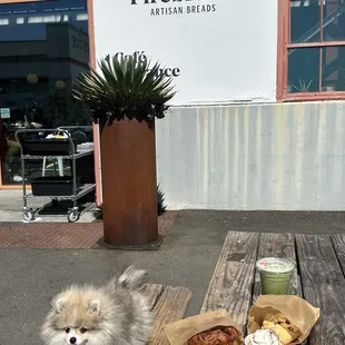 Dog friendly outside patio