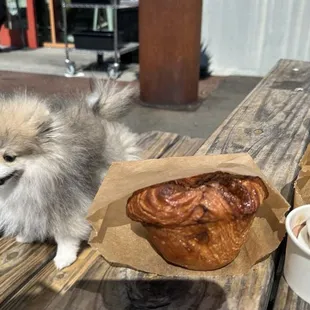 food, donuts, dough desserts