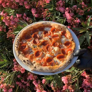 Classic Pepperoni in Lodi, CA