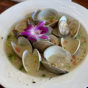 soup, soups and chowder, food, chowder