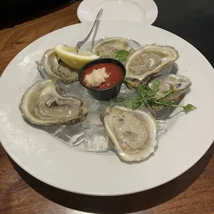 Oysters on the Half Shell