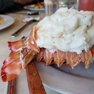 Lobster Tail