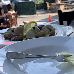 Steamed Clams