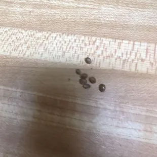 Bud seeds