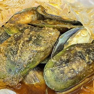 Mussels