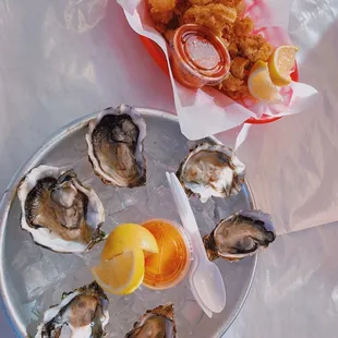 oysters, oysters and mussels, shellfish, food, mussels