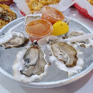 Half dozen oysters