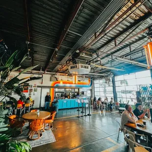 Slamming colors and indoor garden!